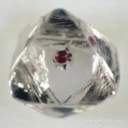 Garnet inclusions
