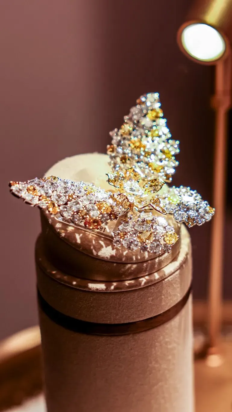 Display of Finished Diamond Rings 2